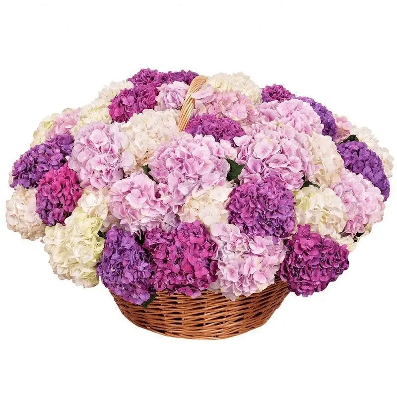 Корзина с цветами «Воздушный поцелуй»